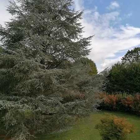 Les Loubiers Ubytování v soukromí